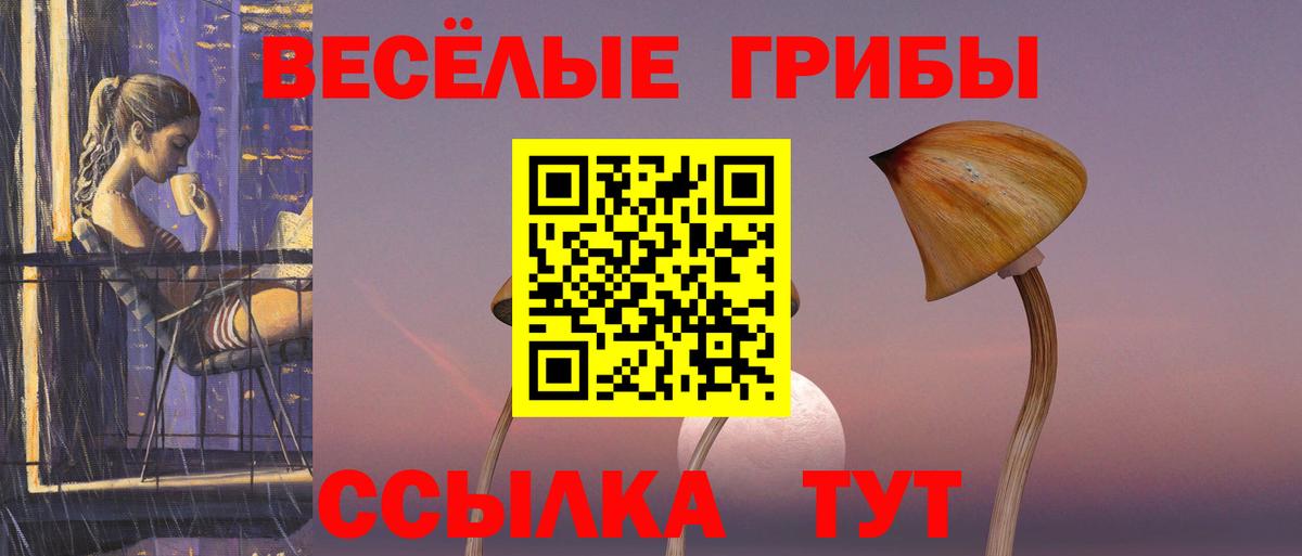 Галлюциногенные грибы Cubensis  где можно купить наркотик  Вход с VPN  Волгодонск  Галлюциногенные грибы Psilocybine cubensis 